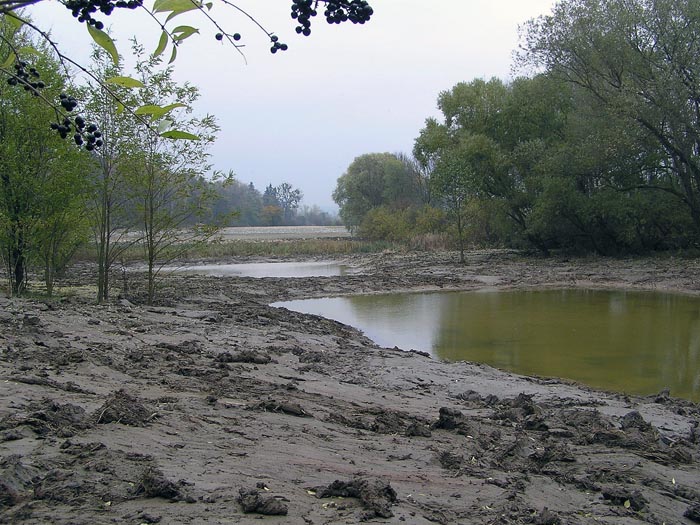 Obecní rybník Heršpice - odstranění havarijního stavu