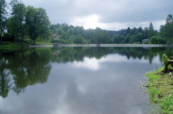 Obnova Hostkovického rybníka